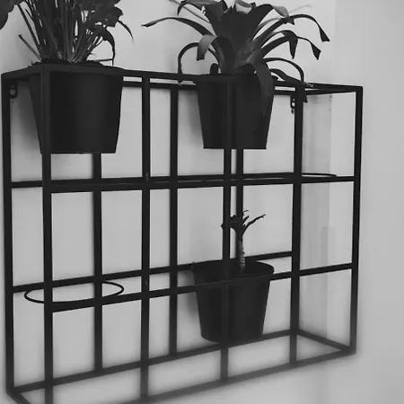 Prismatica Apartament Pula
